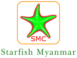 Star fish myanmar